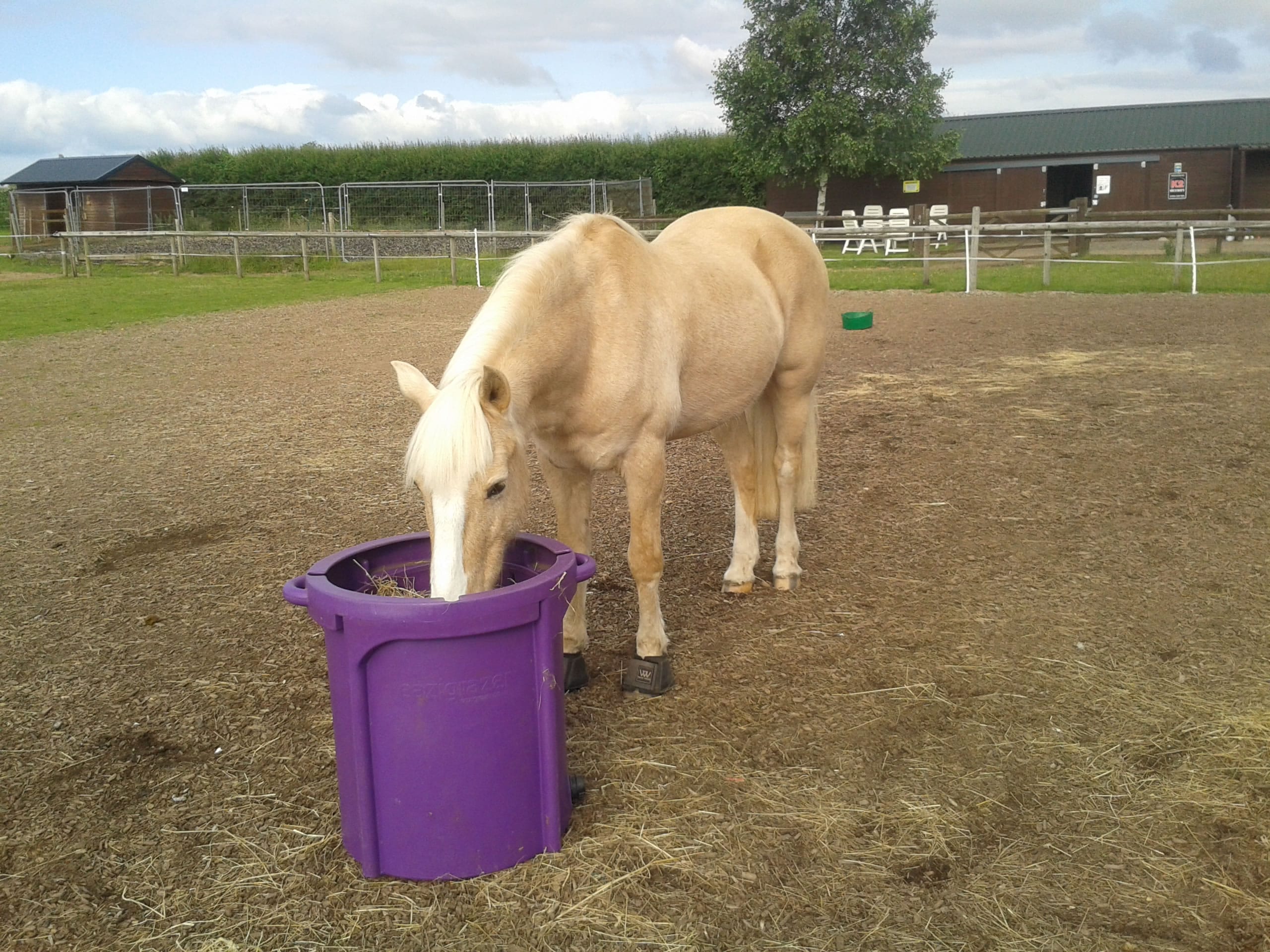 Results like this are what makes it all worthwhile