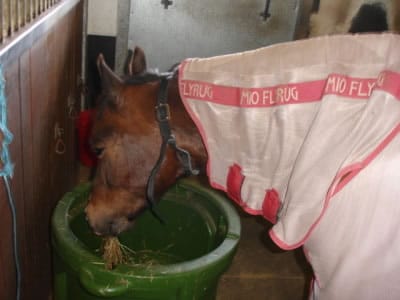 Eazigrazer’s many benefits – another great testimonial!