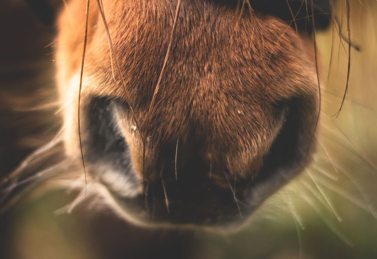 Watch out for those chilly nights!