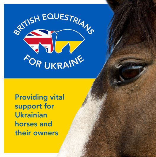 Donate to help horses in Ukraine